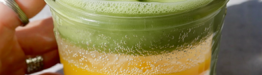 Foxy Mango Matcha