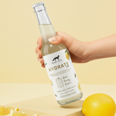Fizzy Fox - Hydrate Lemon Soda